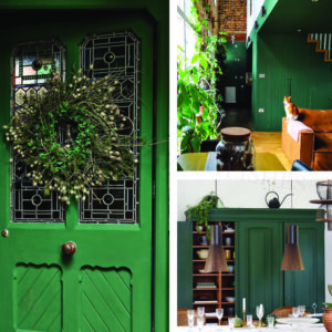 Amsterdam Green – Chalk Paint by Annie Sloan