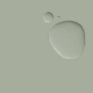 Annie Sloan Chalk Paint - Coolabah Green